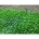 Bétafloor Műfű rögzítő tüske 17cm * 3,5 cm 10 db/csomag